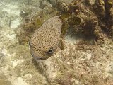 Curacao 04-12 187